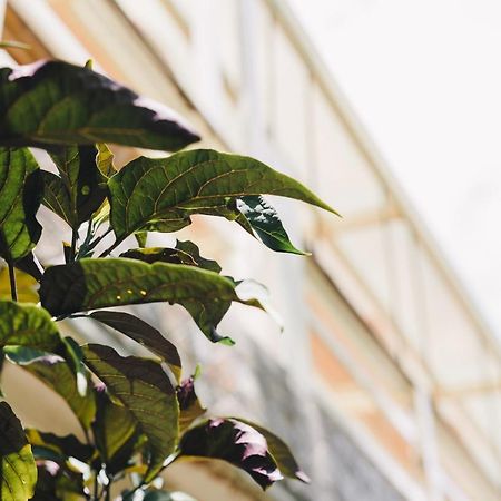 Apartamento Monet Garden Coffee Farm Chinan Exterior foto